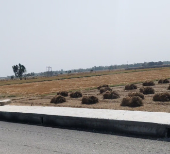 Property for sale in Pali, Hardoi