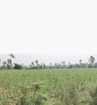 Property for sale in Sidhauli, Sitapur