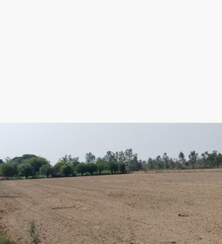 Property for sale in Sidhauli, Sitapur
