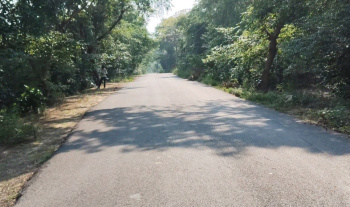 Property for sale in Sidhauli, Sitapur