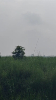 It is best for investment and farmhouse purpose in brijghat