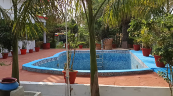 Agricultural/Farm Land for Sale in Hastinapur, Meerut (200 Bigha)