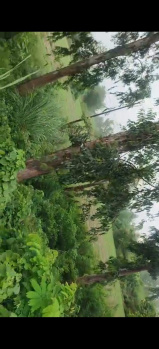 Property for sale in Gajraula, Amroha