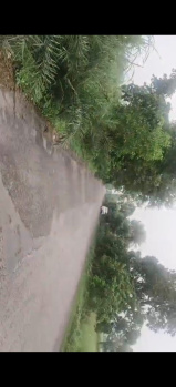 Agricultural/Residential Land — 11 Bigha in Garhmukteshwar  brijghat (Hapur)