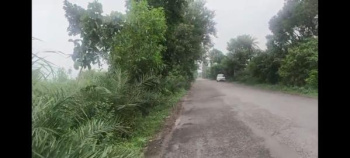 Agricultural/Farm Land for Sale in Garhmukteshwar, Hapur (6 Bigha)