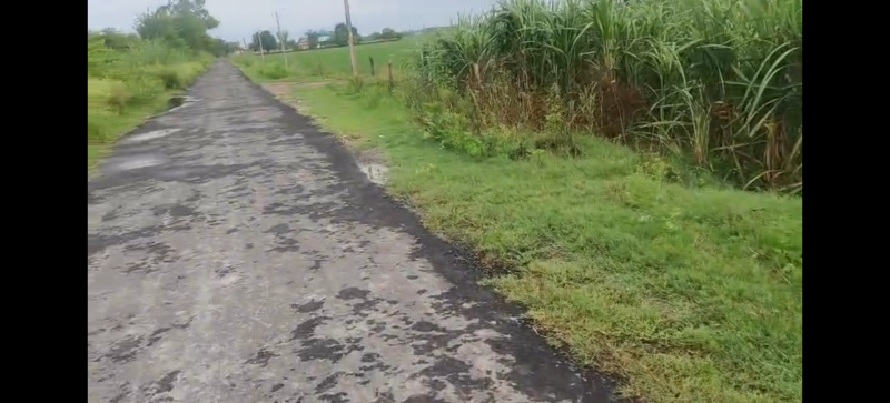 Farm house for sell, agriculture land for sell ,