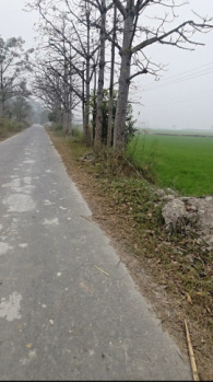 Agricultural/Farm Land for Sale in Mawana, Meerut (130 Bigha)
