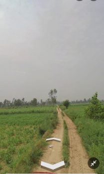 Agricultural/Farm Land for Sale in Dhanaura, Amroha (70 Bigha)