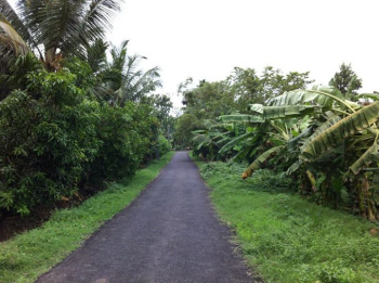 Farm house for sale,farm land for sale