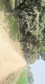 Bagh in Garh Bagh on black road Farm house in Garhmukteshwar farmhouse in dotai