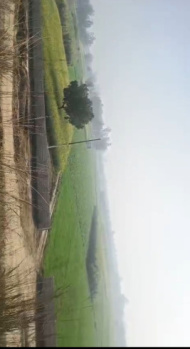 Land for ploting residential land for sale