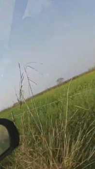 Agriculture land for sale farm house for sale 12 acre land for sale