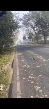 10 ACRE BAG FOR SALE IN SIANA BULANDSHAR