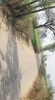 Agriculture land for sale mawana