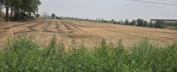 Agricultural/Farm Land for Sale in Mawana, Meerut (50 Bigha)