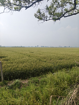 5 acre land for sale on Black road in Hapur