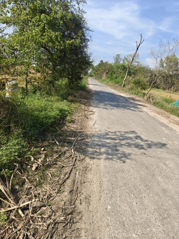 Agricultural/Farm Land for Sale in Mawana, Meerut (4 Acre)