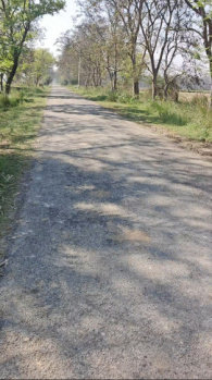 Agriculture land in Hastinapur mawana