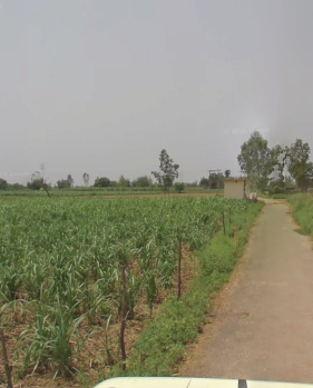 20 Acre land  For sale in Brijghat