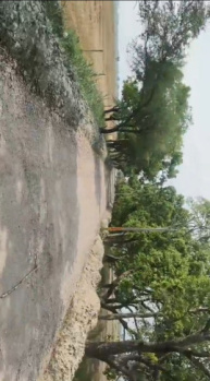 Agriculture land for sale in Garhmukteshwar