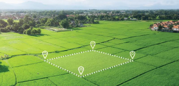 Industrial plot in Pilakhuwa NH9