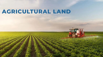 10 Acre Agricultural/Farm Land for Sale in Bhuna, Fatehabad