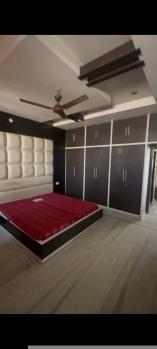 Flats & Apartments for Rent in Sector 14, Hisar (5000 Sq.ft.)