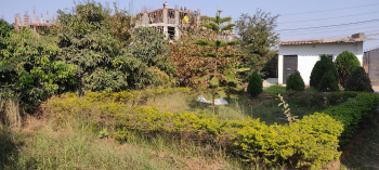 Banquet Hall & Guest House for Sale in New Lalgutwa, Ranchi (20 Sq.ft.)