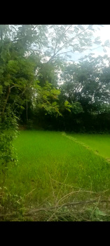 3 BHK Farm House for Sale in Ormanjhi, Ranchi (175 Dismil)