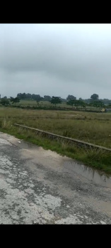 Commercial Lands /Inst. Land for Sale in Rajaulatu, Ranchi (103 Sq.ft.)