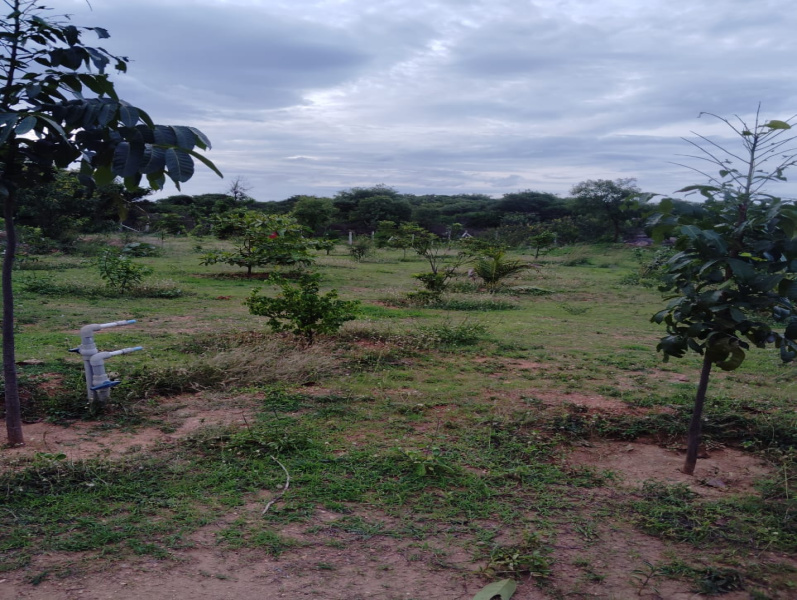 Residential Plot For Sale In Shoolagiri, Hosur (20000 Sq.ft.)