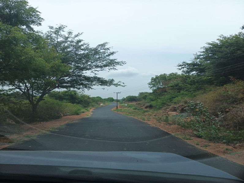 3.03 Acre Agricultural/Farm Land For Sale In Bangalore Road, Hosur