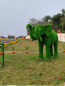 Property for sale in Sarpi, Durgapur