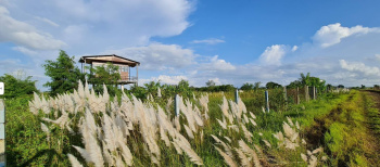 Great Investment Opportunity for Farm House