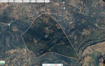 Residential Plot for Sale in Khajri, Chhindwara (3 Acre)