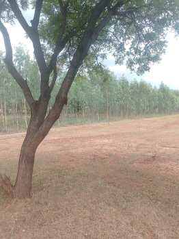Property for sale in Kanjikovil, Erode