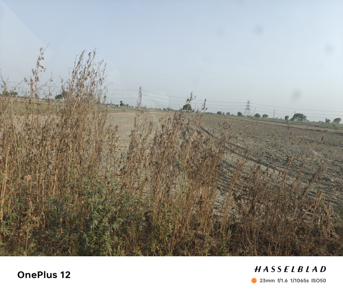3023 Sq. Yards Industrial Land / Plot For Sale In Loni, Ghaziabad