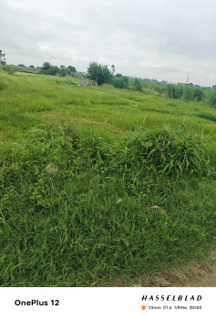 Property for sale in Subhanpur Village, Baghpat