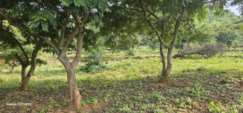 4 Acre Agricultural/Farm Land for Sale in Attapadi, Palakkad