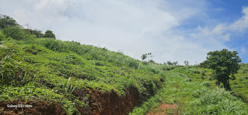 264 Cent Agricultural/Farm Land for Sale in Attapadi, Palakkad