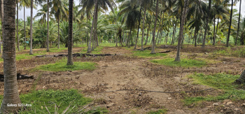 4 Acre Agricultural/Farm Land for Sale in Attapadi, Palakkad