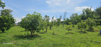 4 Acre Agricultural/Farm Land for Sale in Anaikatti, Coimbatore