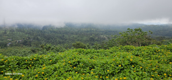 13 Acres with Hill top location