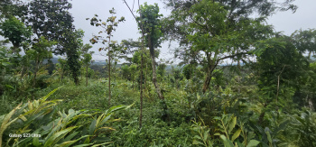 Property for sale in Anaikatti, Coimbatore