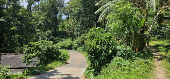 Property for sale in Attapadi, Palakkad