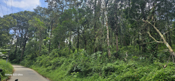 Property for sale in Attapadi, Palakkad