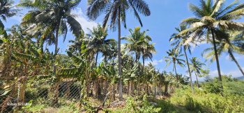Property for sale in Sholayur, Palakkad