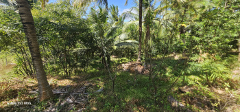 Property for sale in Sholayur, Palakkad