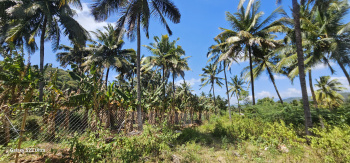 Property for sale in Sholayur, Palakkad