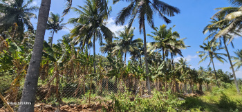 Property for sale in Sholayur, Palakkad